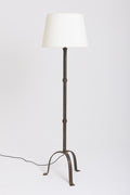 10019- Iron Floor Lamp