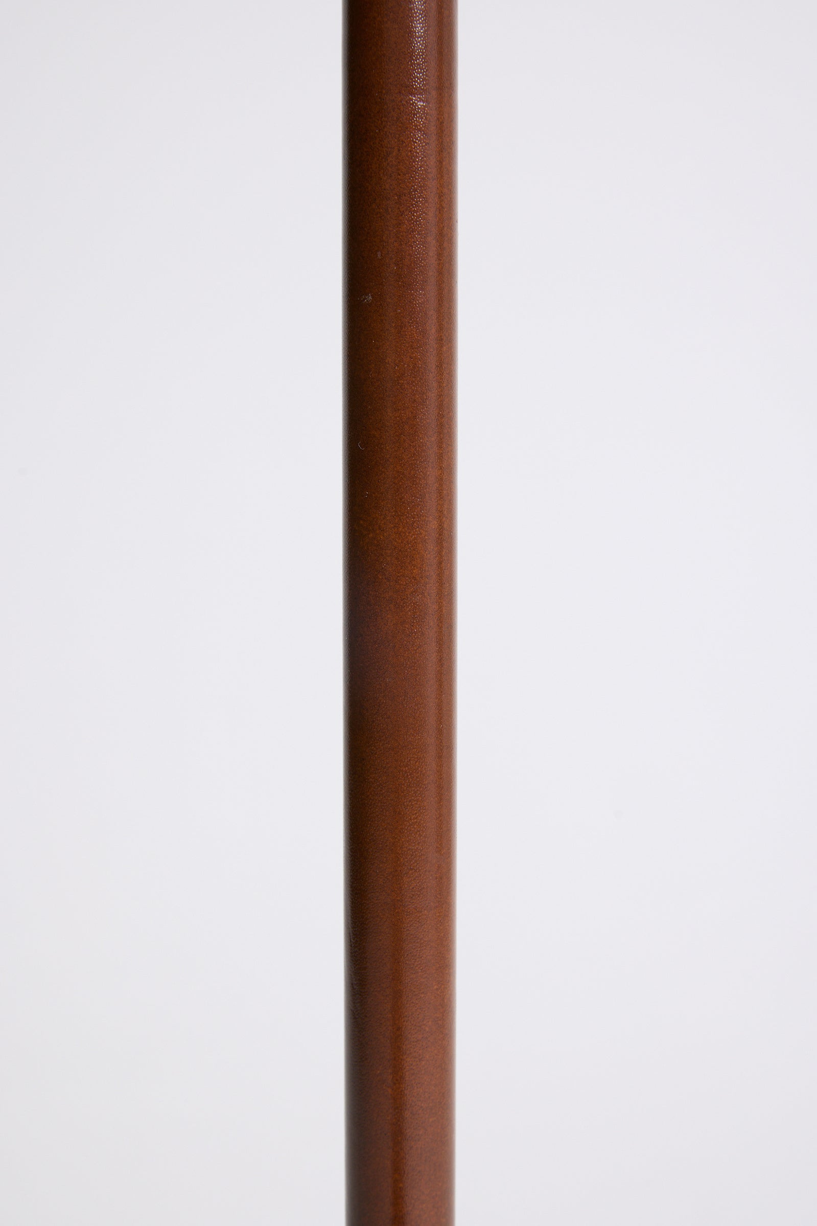 Faux Leather and Brass Floor Lamp