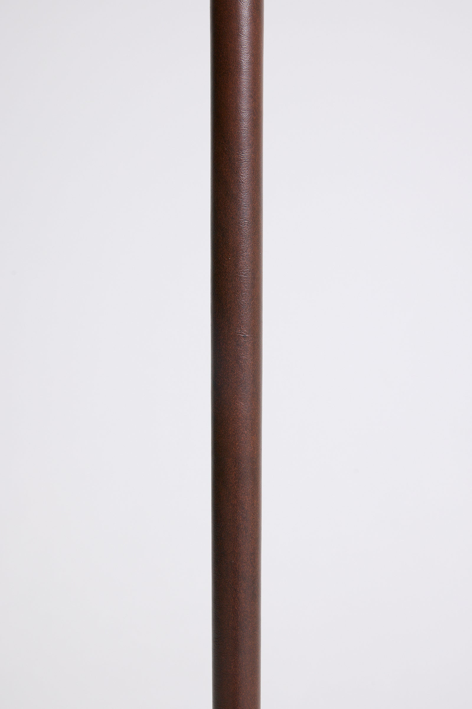 Faux Leather and Brass Floor Lamp