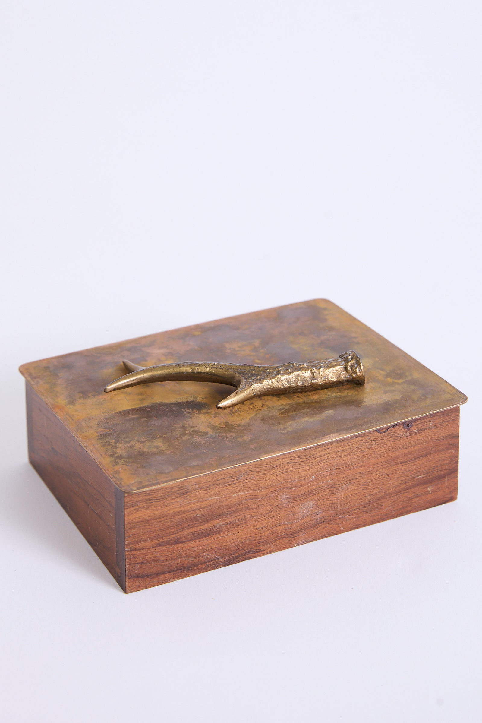 Bronze 'Antler' Box