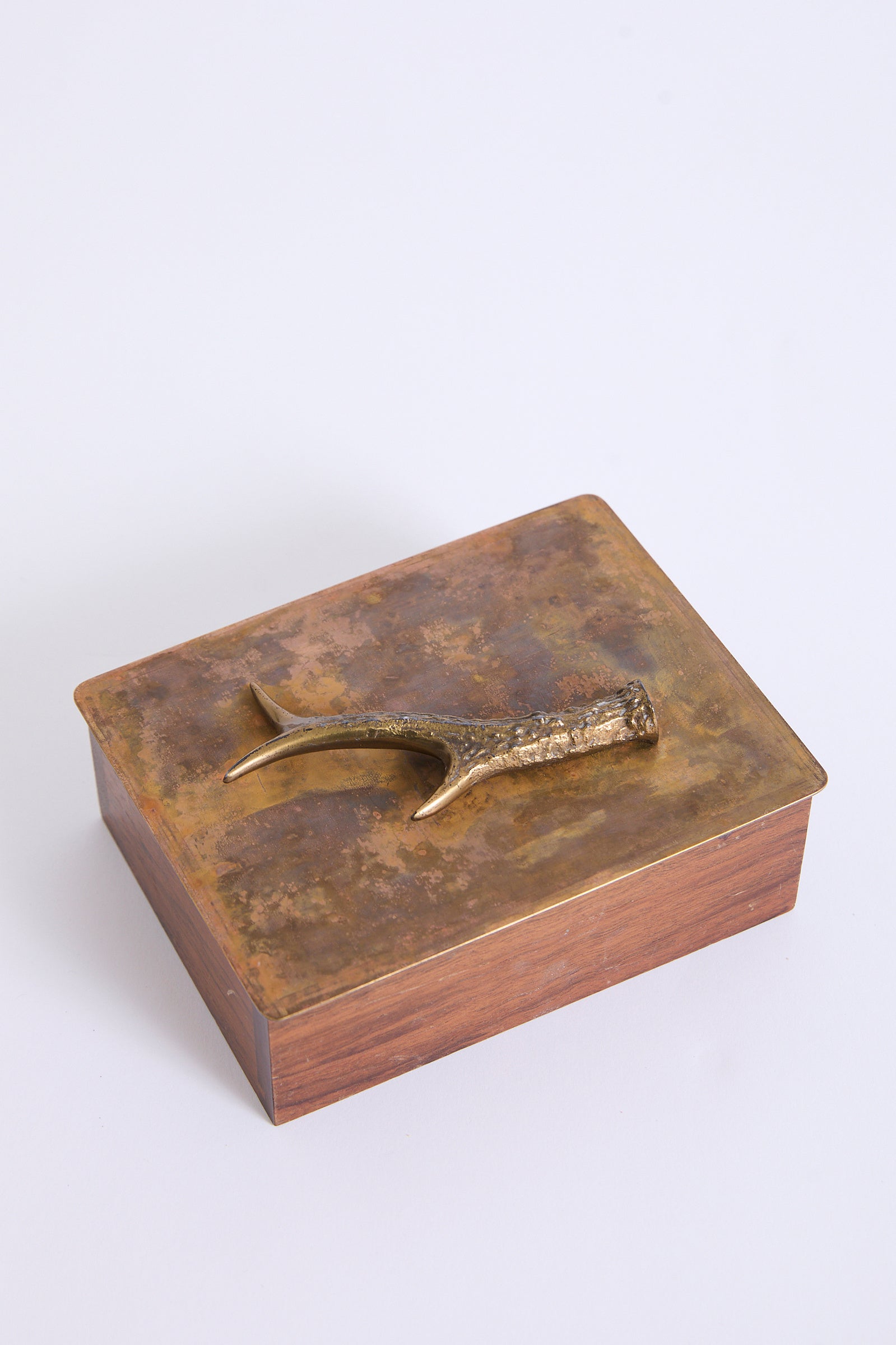 10493- Bronze 'Antler' Box