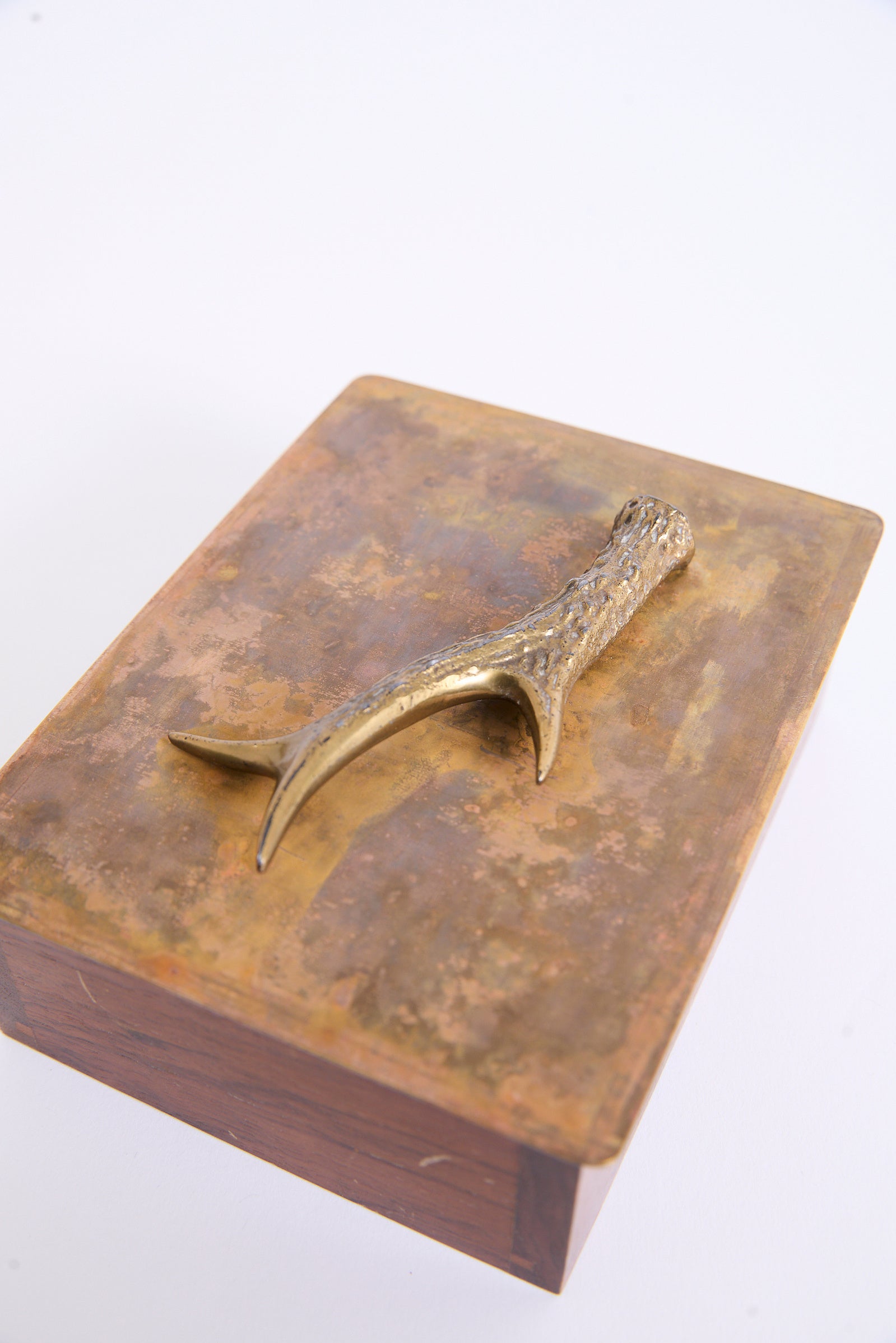 Bronze 'Antler' Box