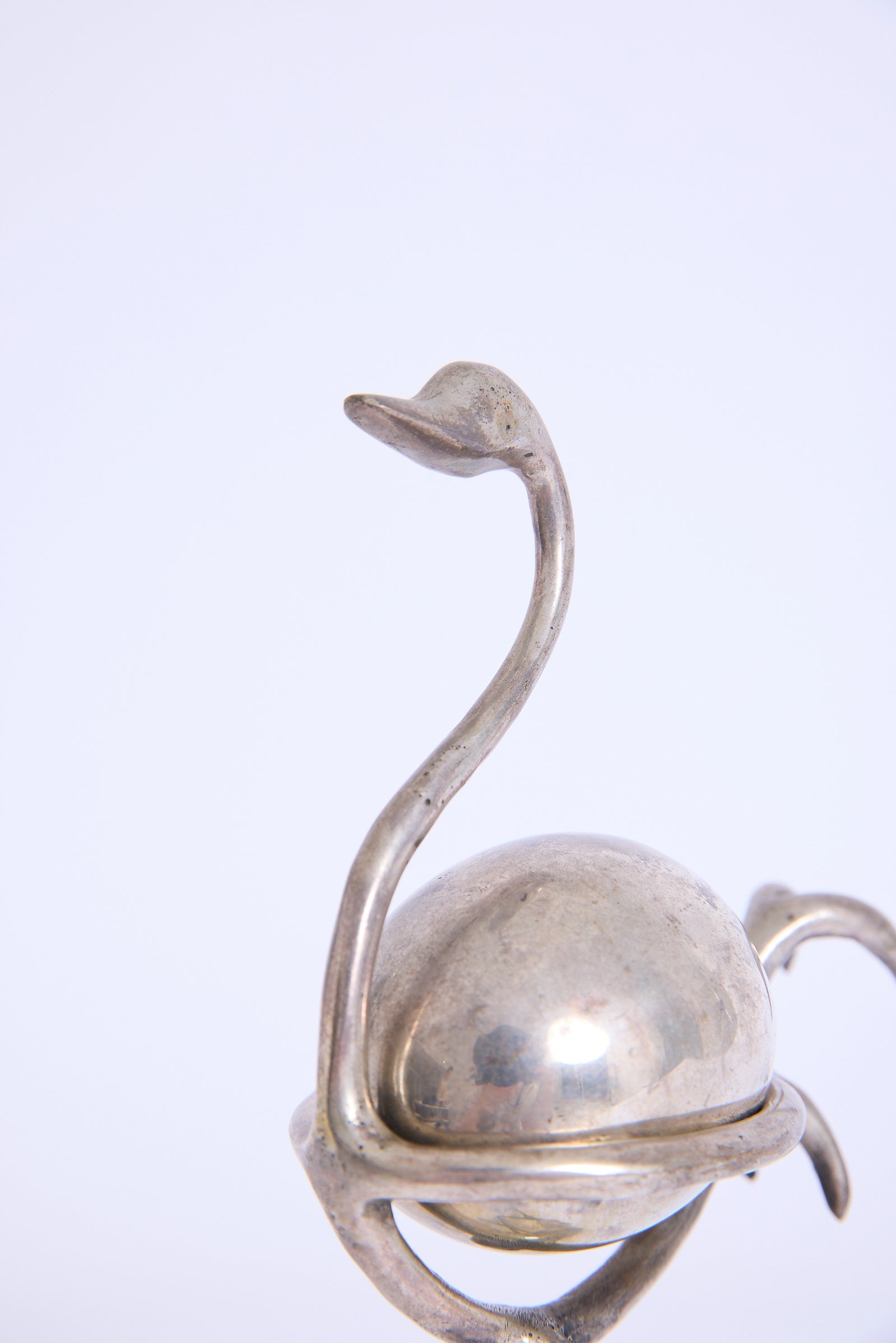 Silvered Ostrich