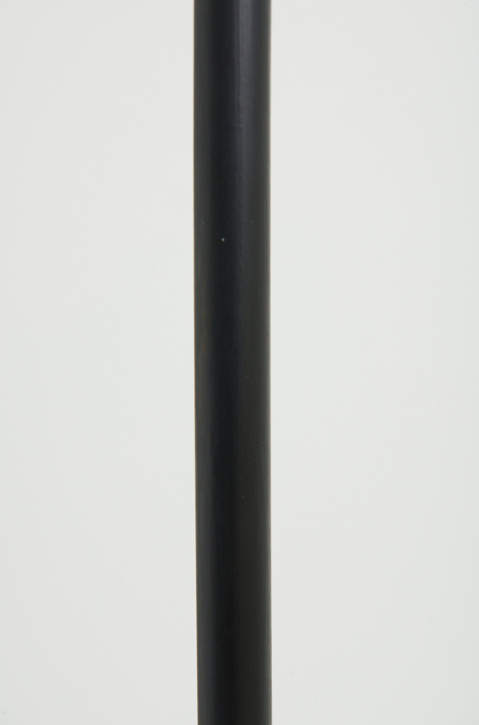 Mid-Century Black Floor Lamp