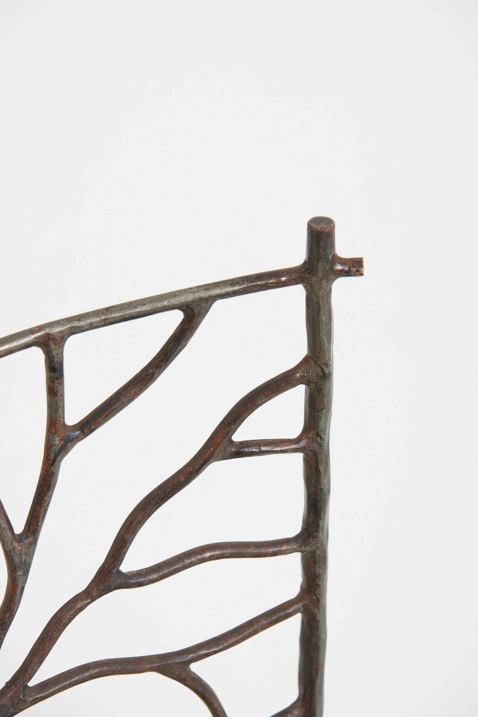 Pair of Naturalistic Chairs