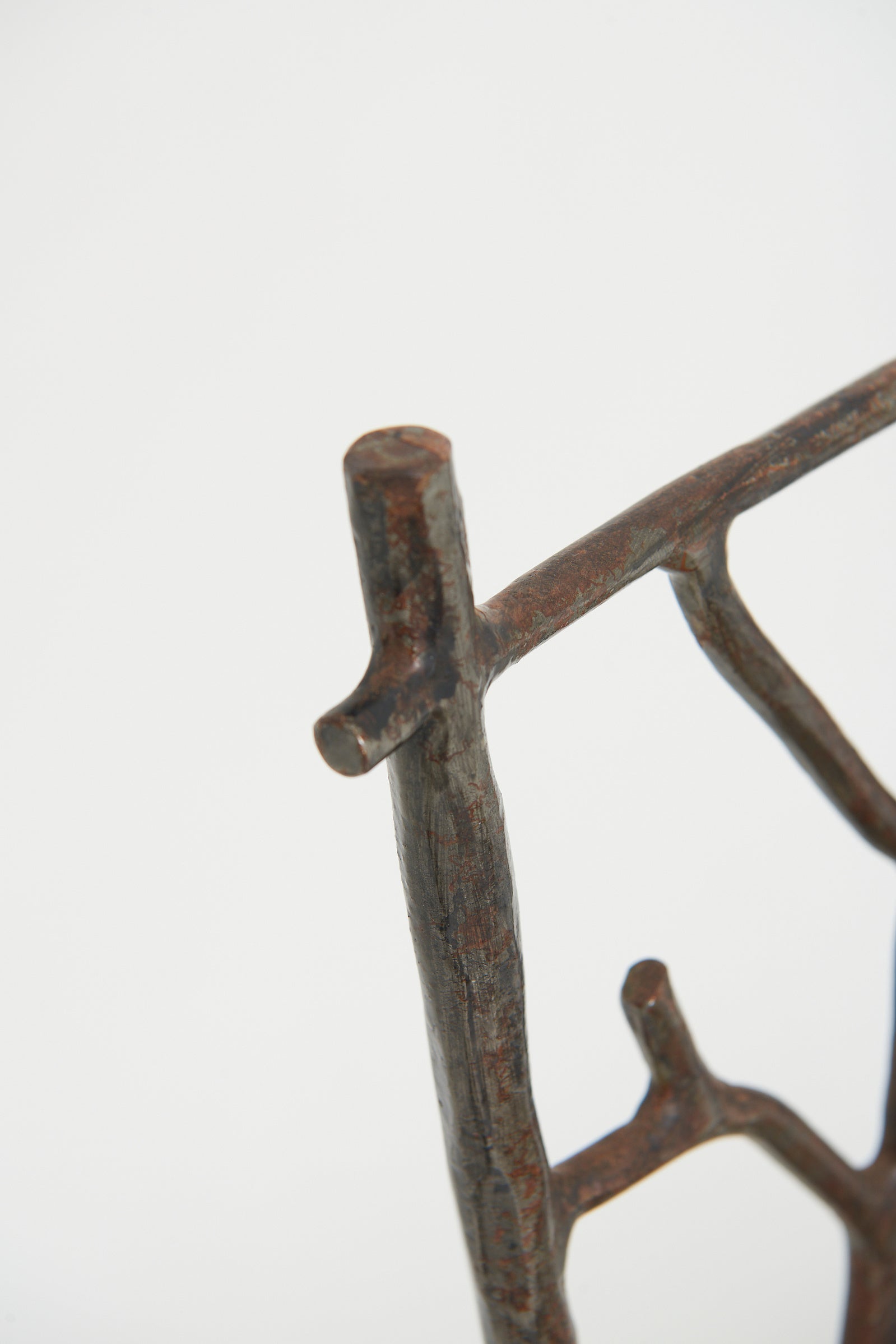 Pair of Naturalistic Chairs