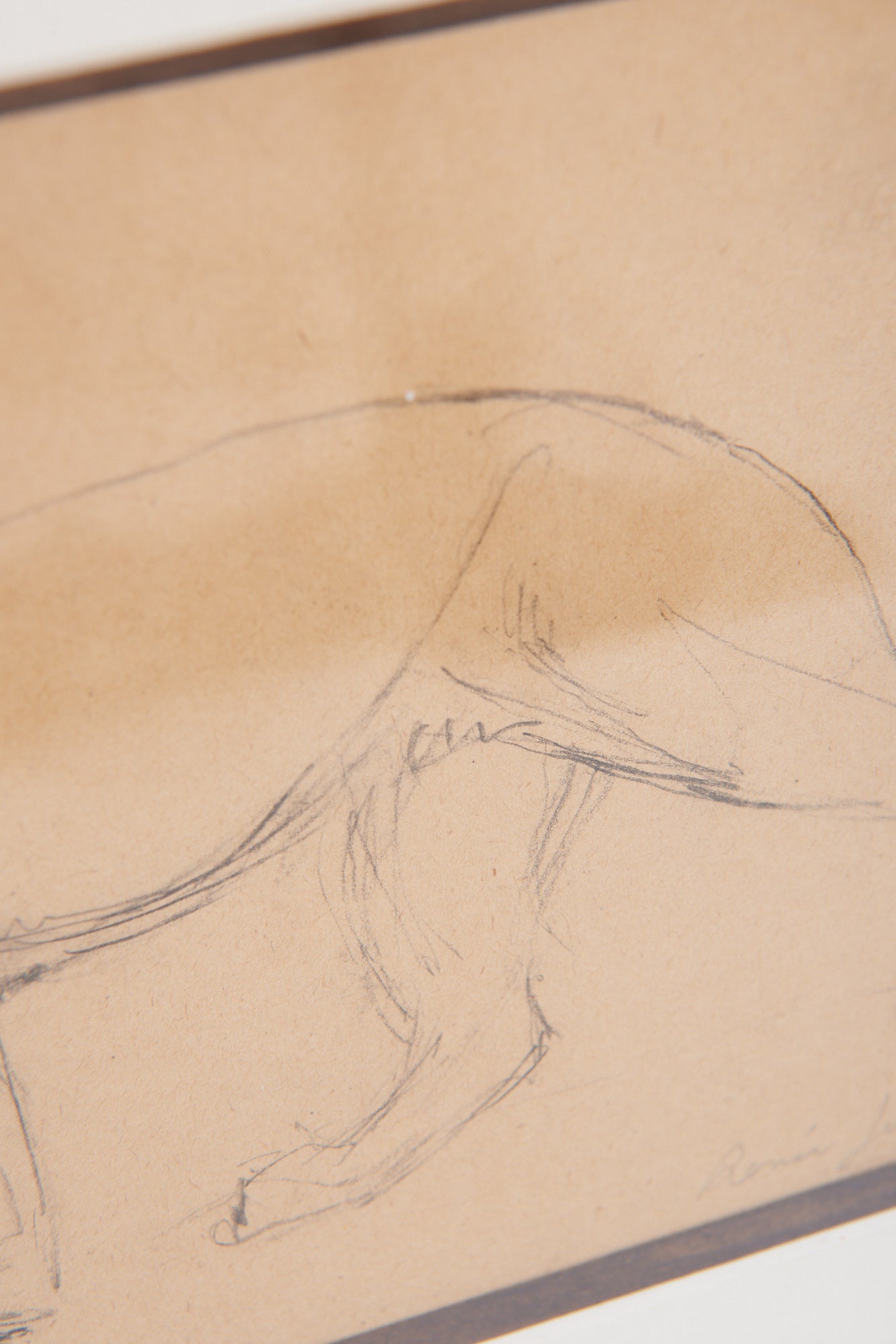 Art Deco Panther Drawing