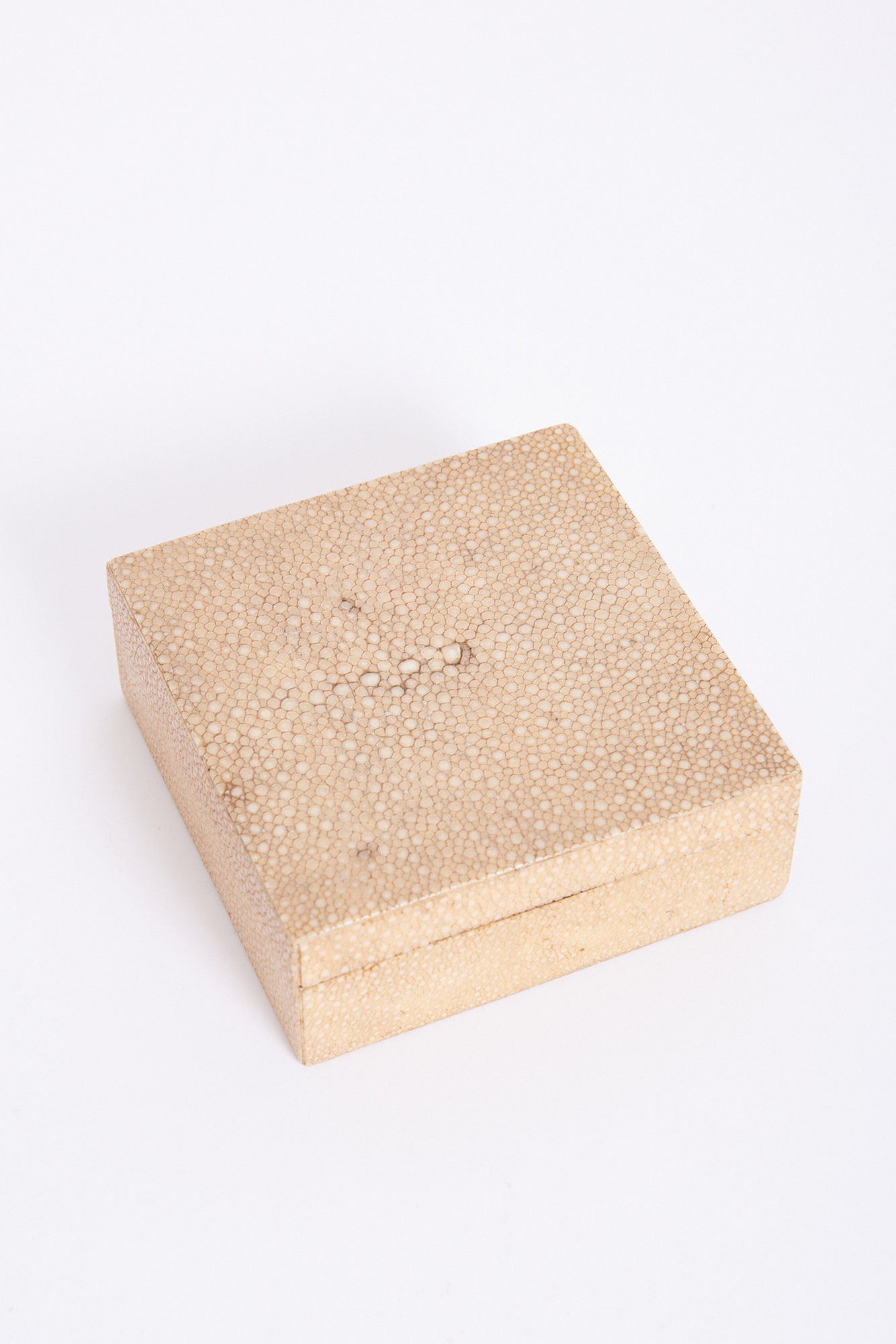 9005- Art Deco Shagreen Box