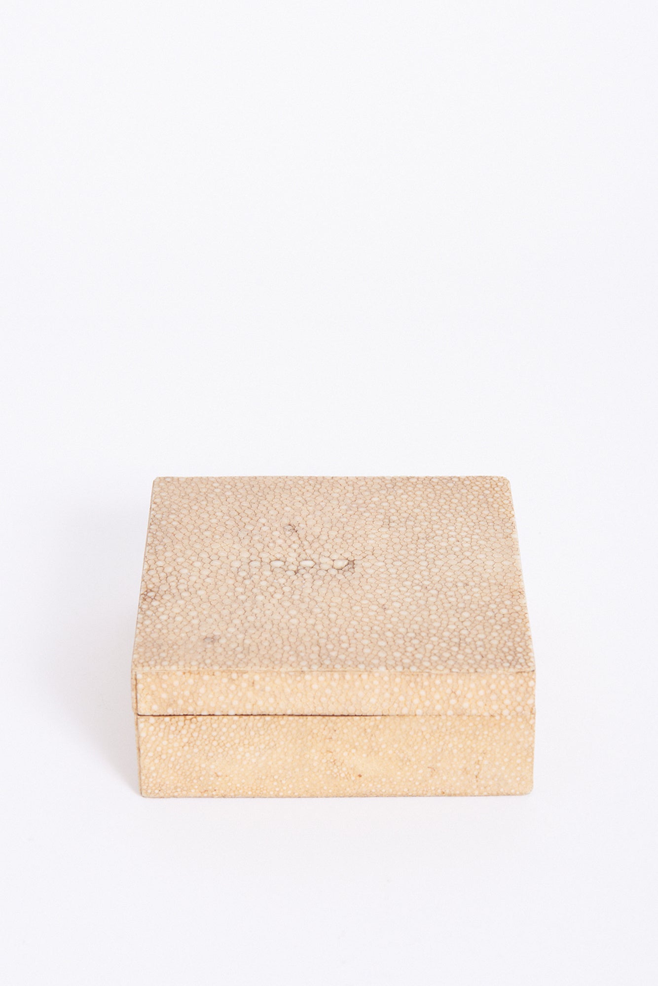 Art Deco Shagreen Box