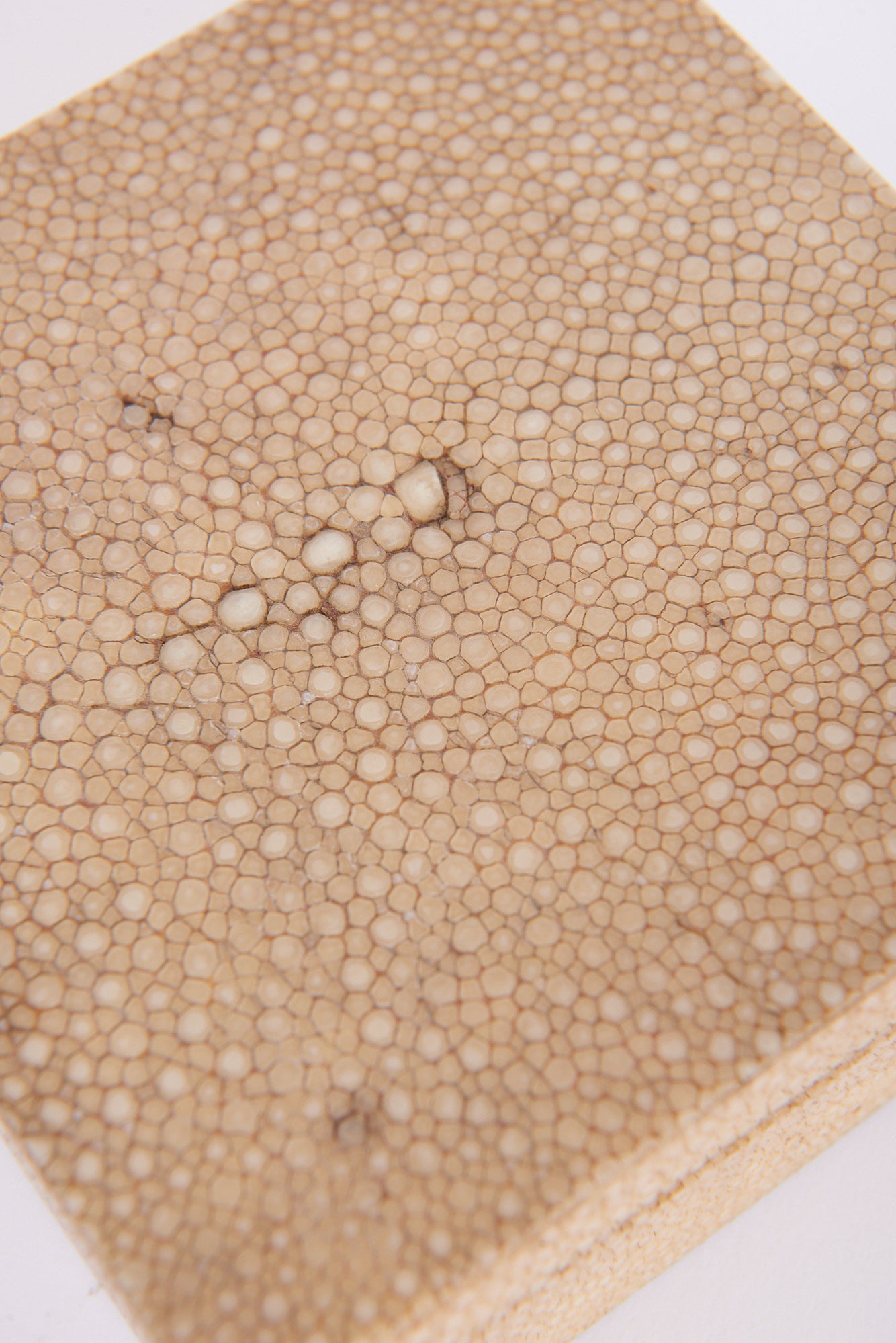 Art Deco Shagreen Box