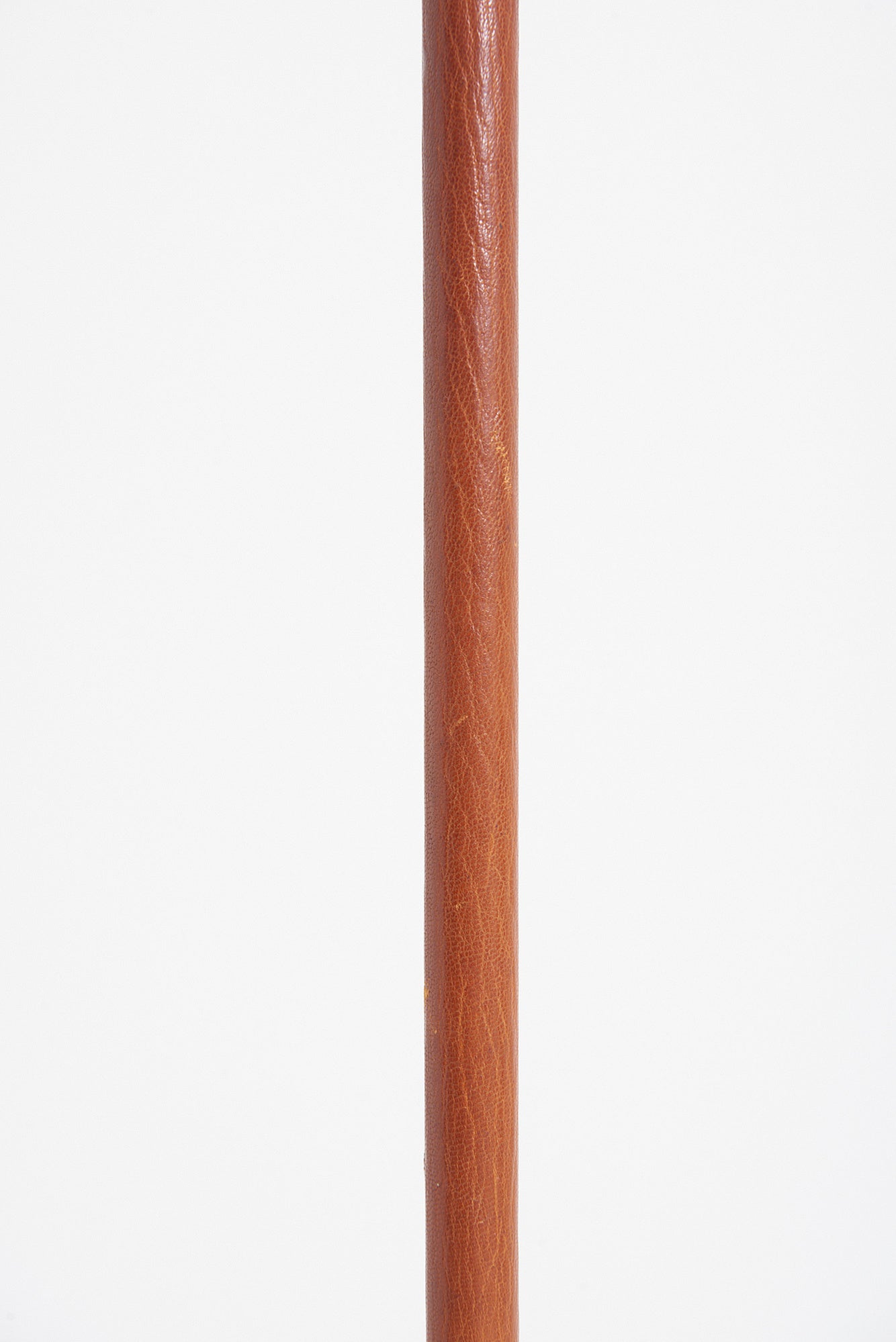 Mid-Century Brown Leather and Brass Floor lamp