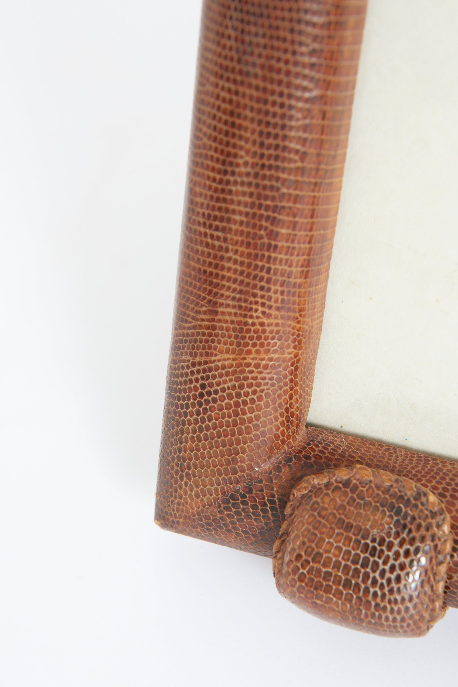 Snake Skin Photo Frame