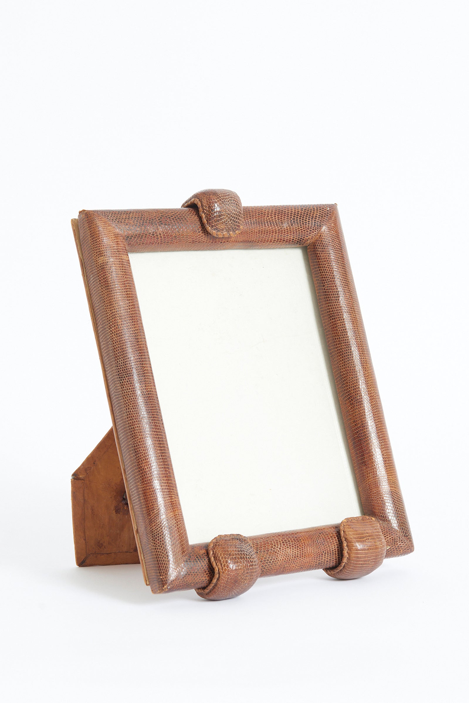 9376- Snake Skin Photo Frame