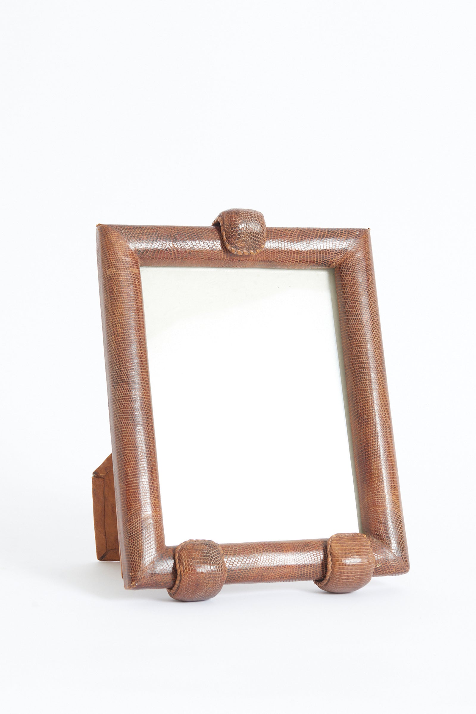 Snake Skin Photo Frame