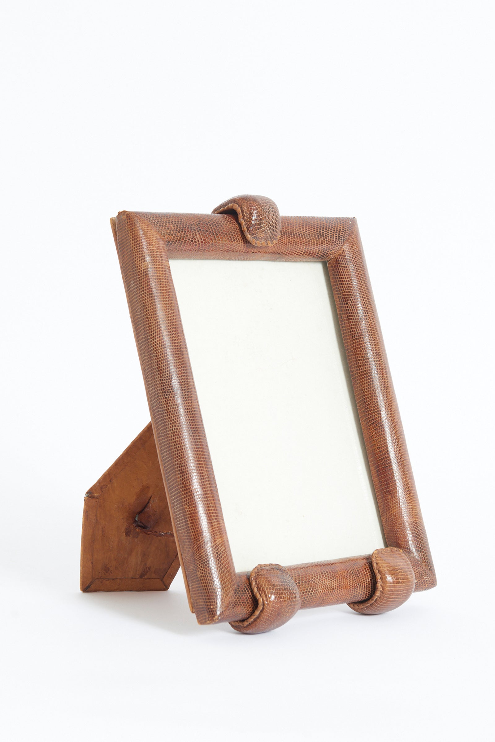 Snake Skin Photo Frame