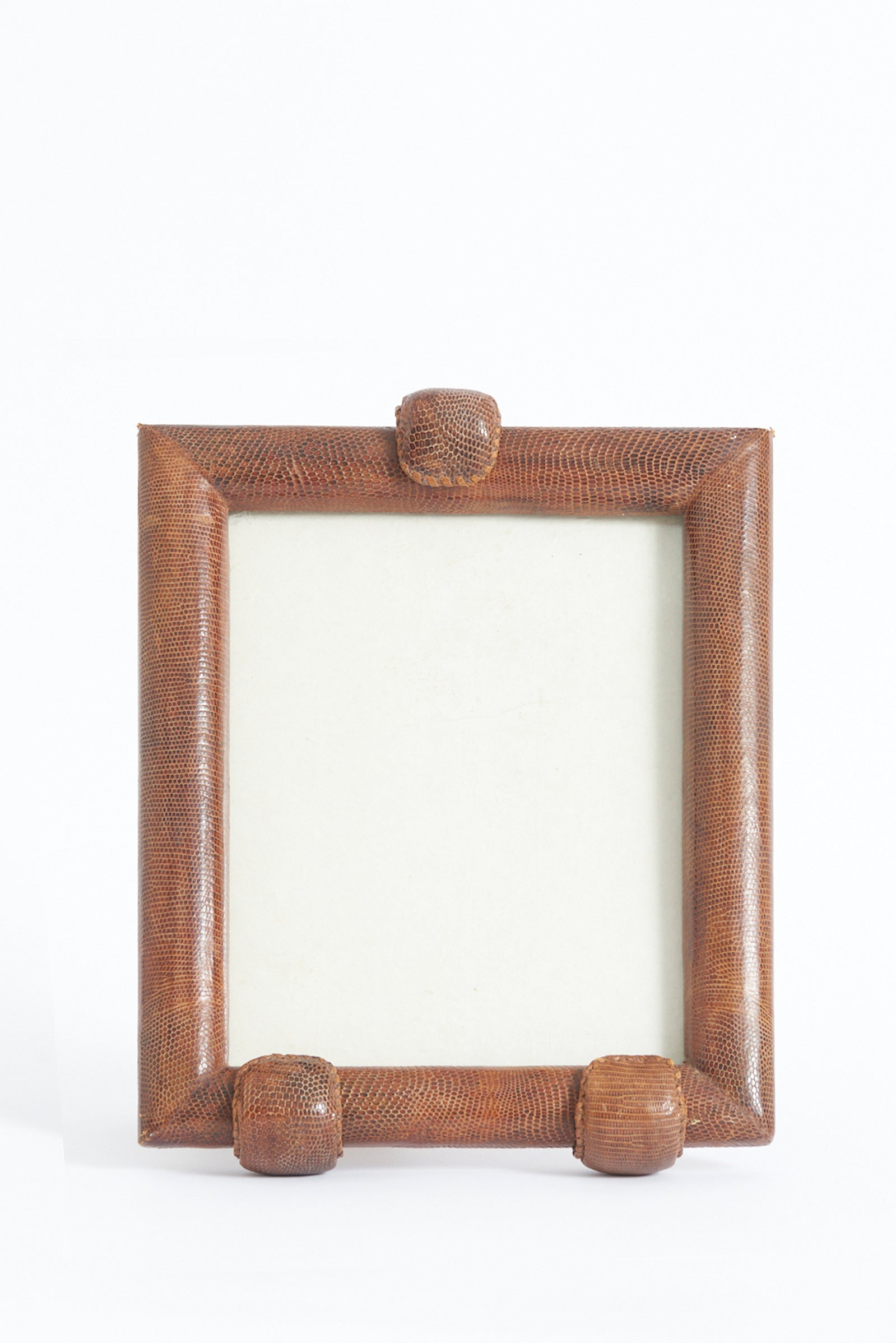 Snake Skin Photo Frame