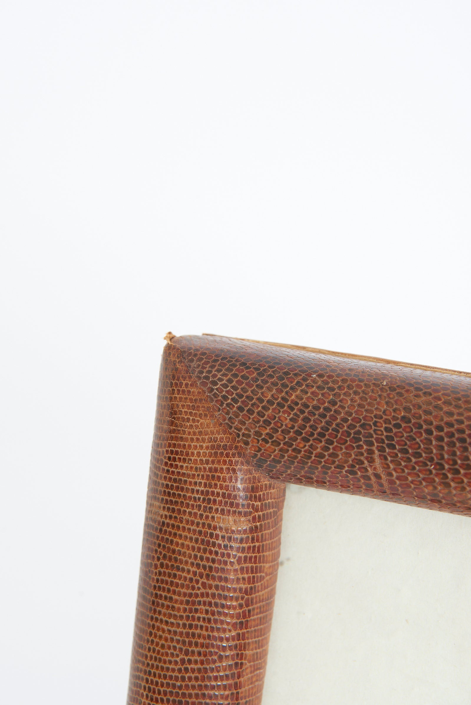 Snake Skin Photo Frame