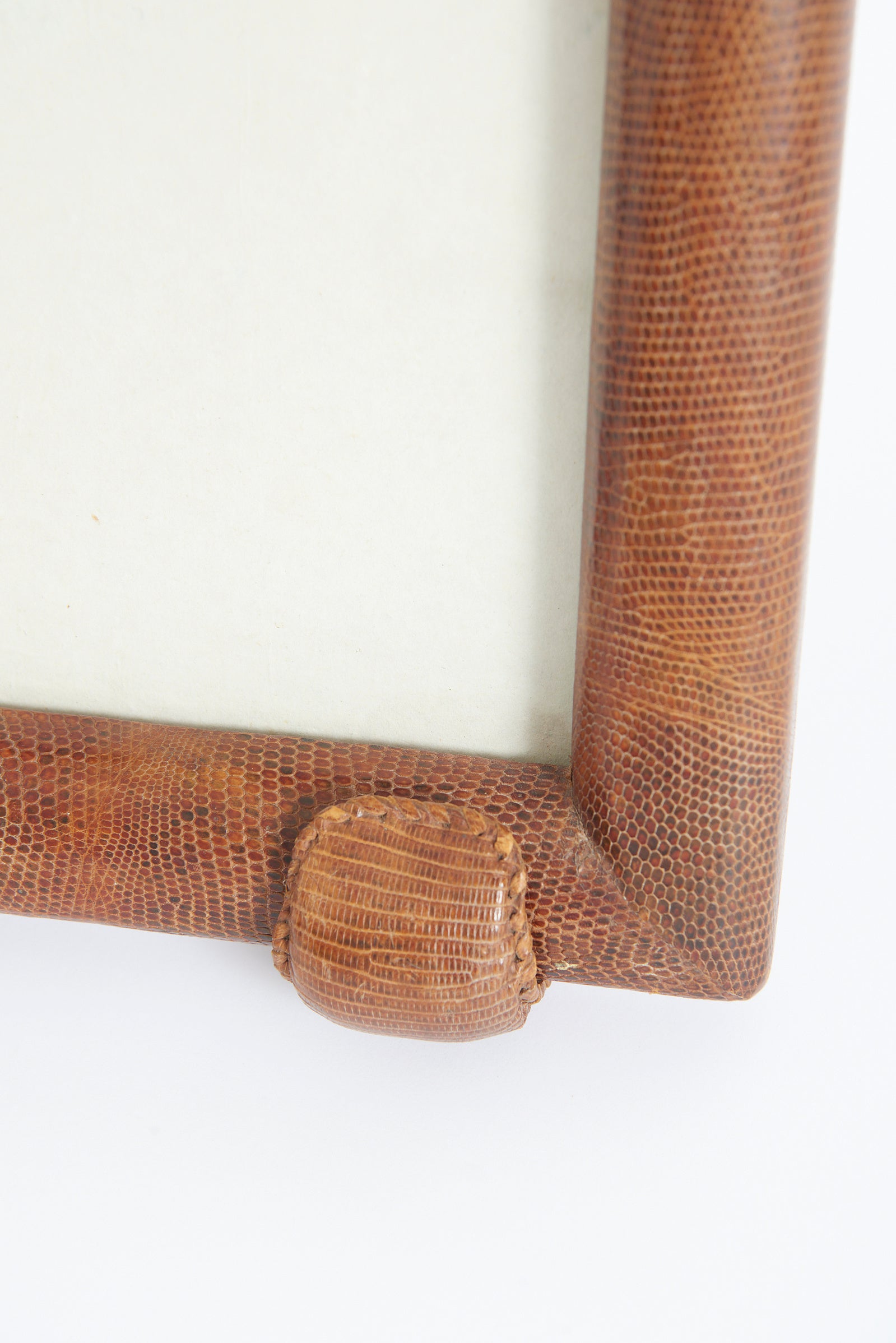 Snake Skin Photo Frame