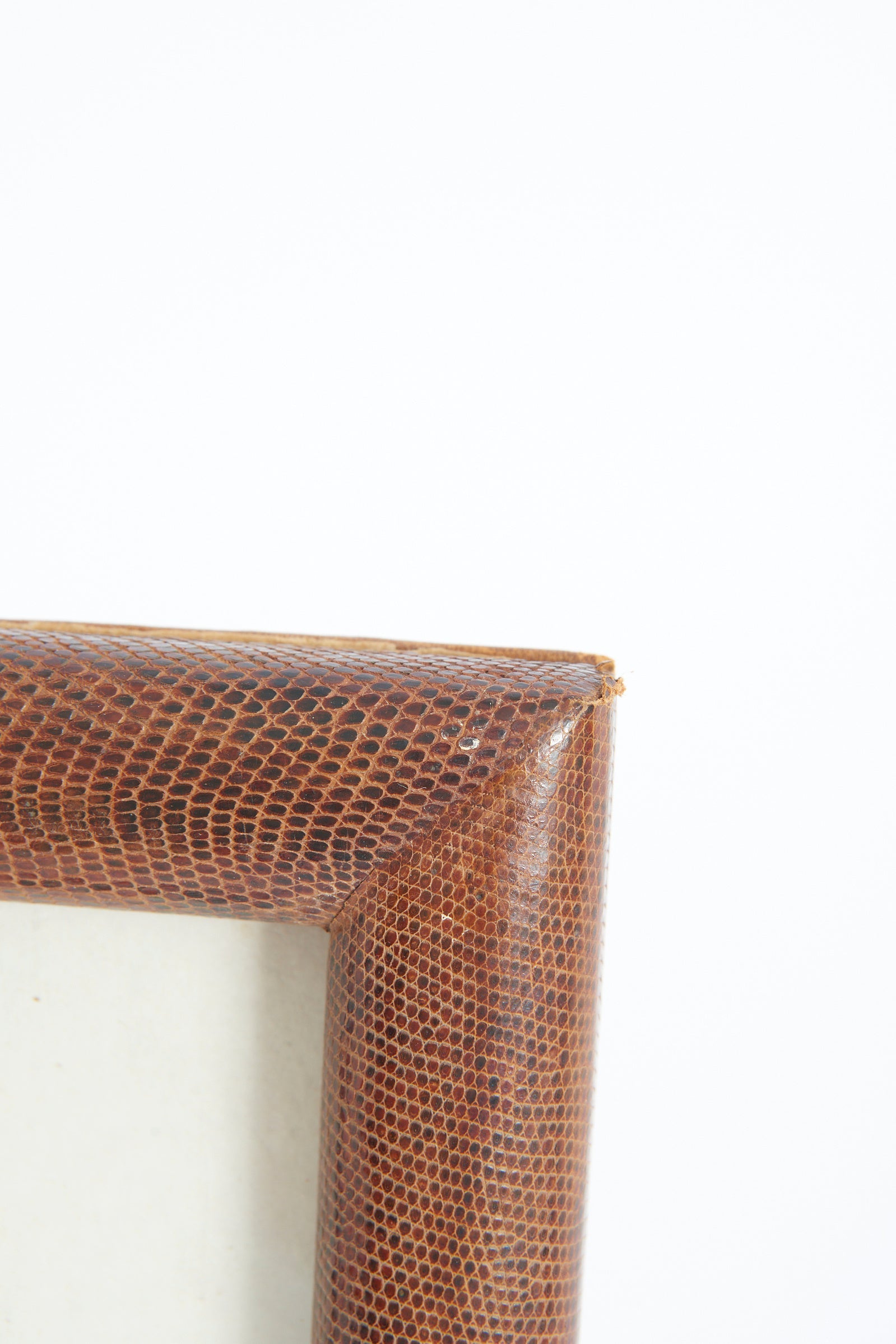 Snake Skin Photo Frame