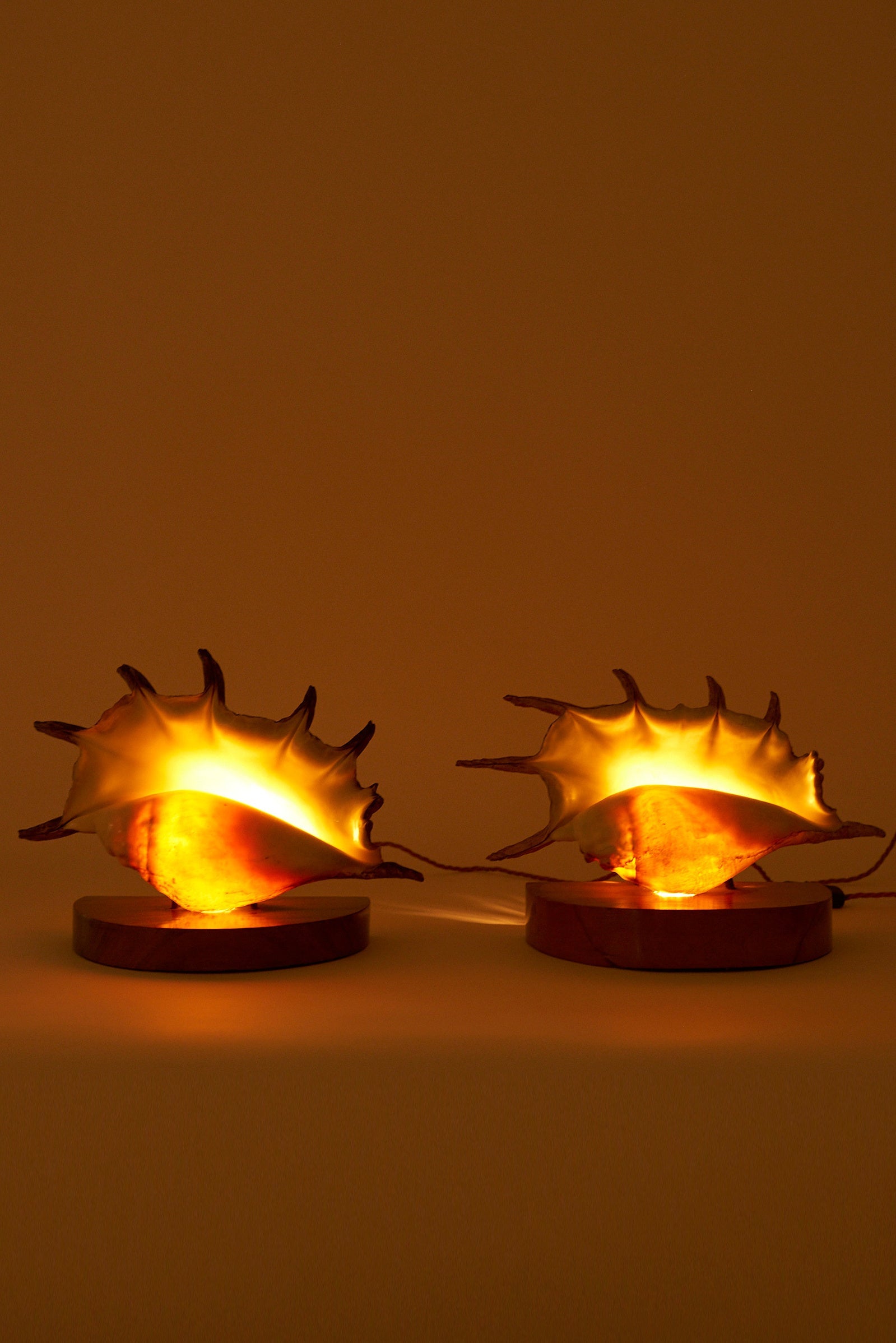 Pair of Shell Lamps