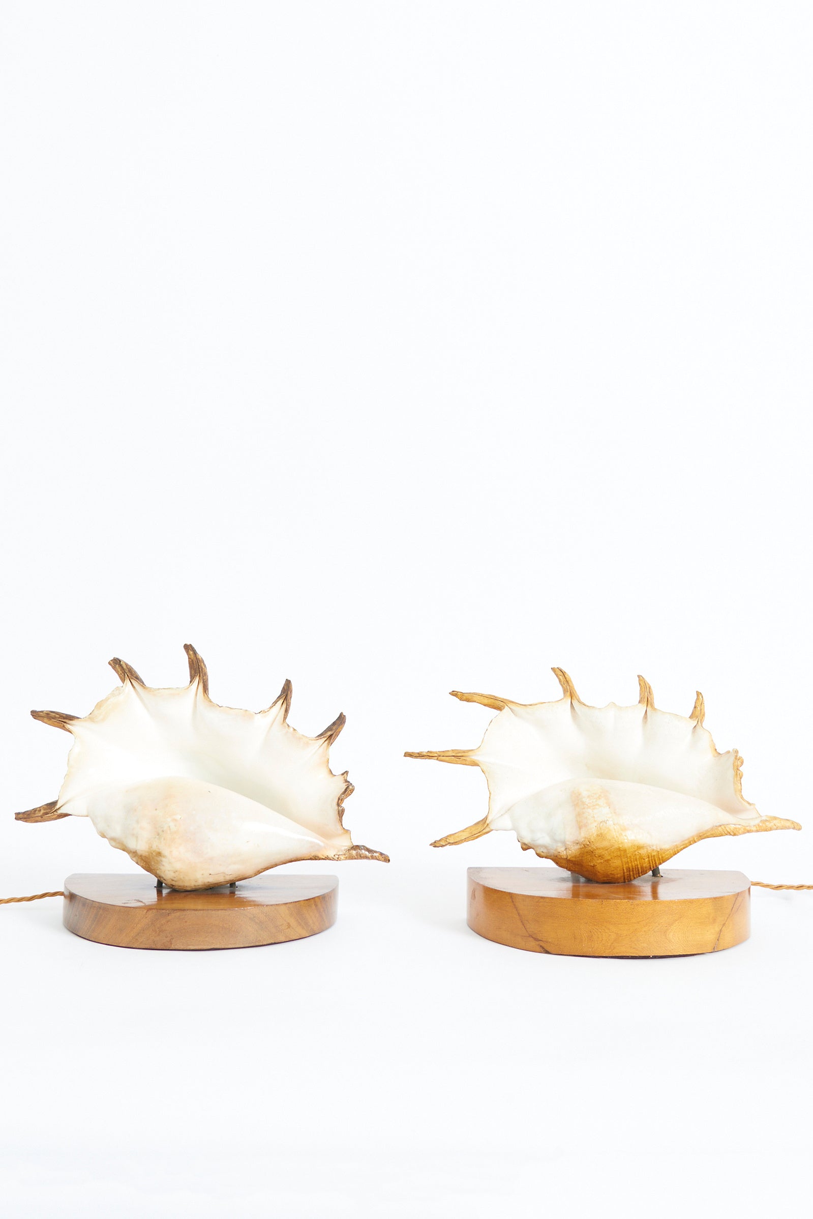 9472- Pair of Shell Lamps