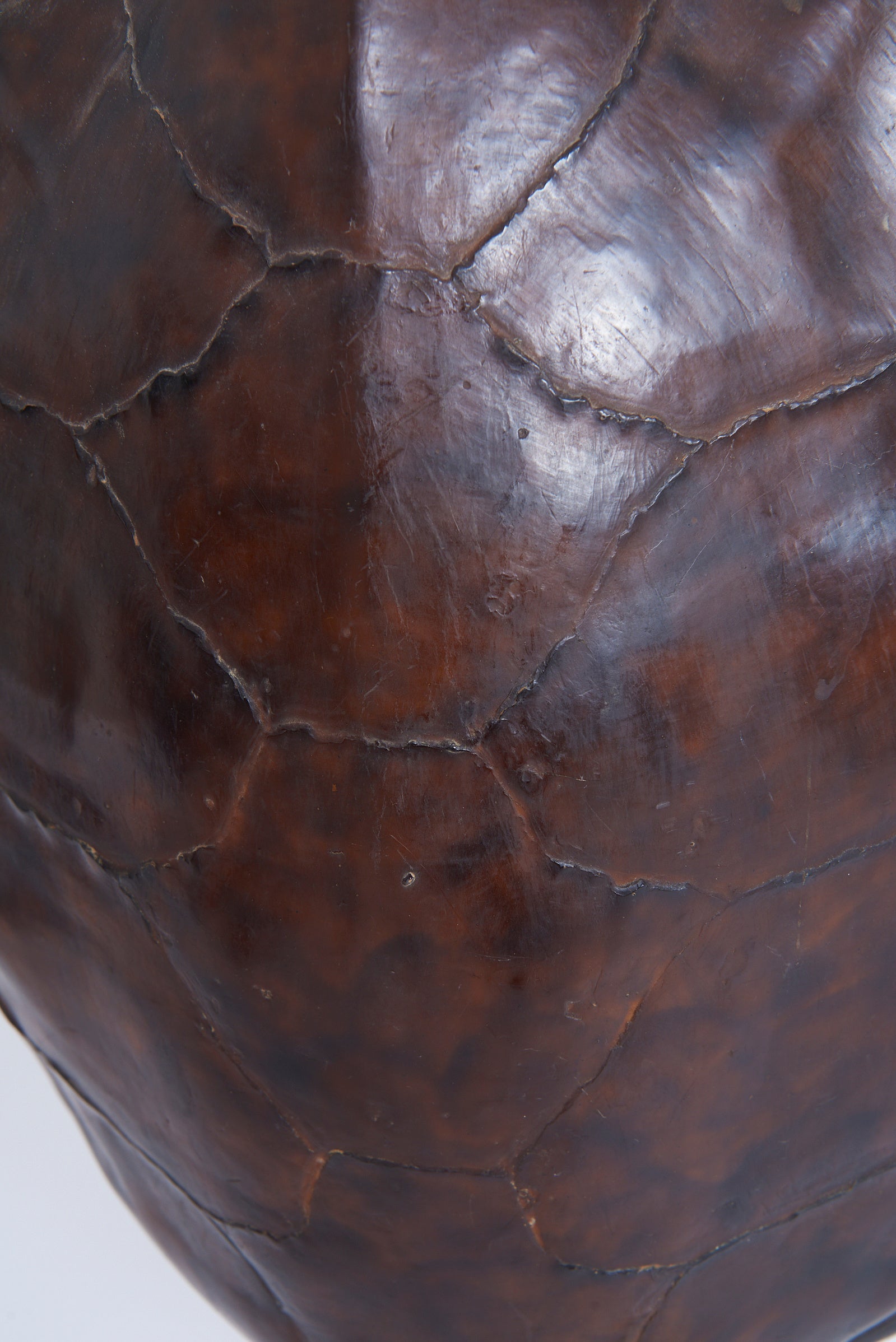 Pair of Tortoiseshell Table Lamps