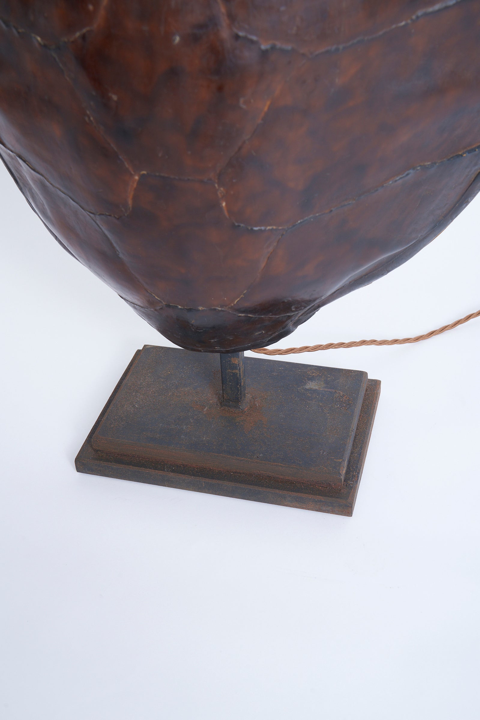 Pair of Tortoiseshell Table Lamps