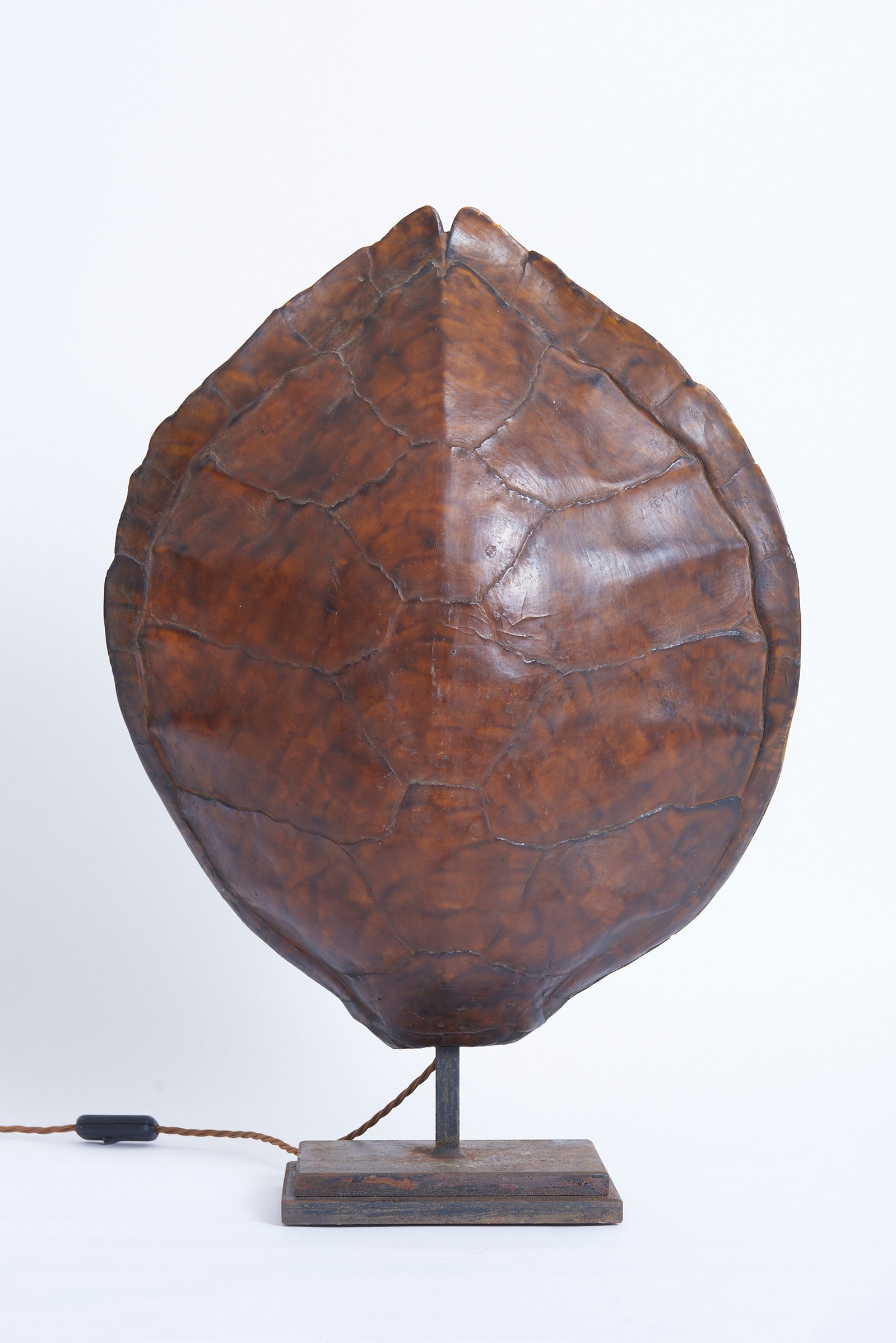 Pair of Tortoiseshell Table Lamps