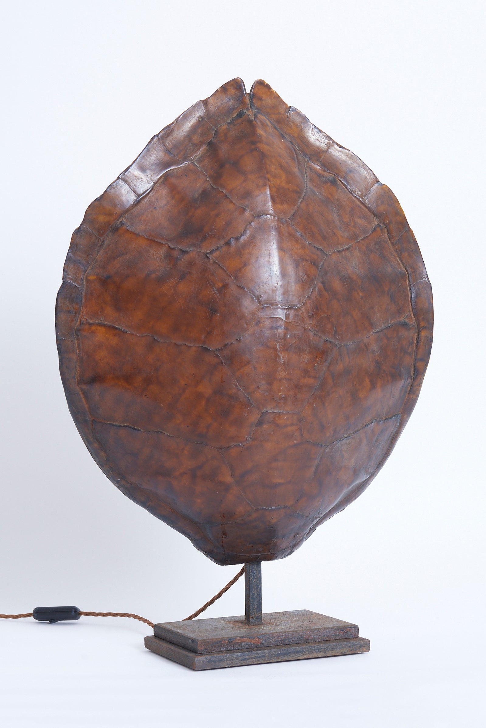 Pair of Tortoiseshell Table Lamps