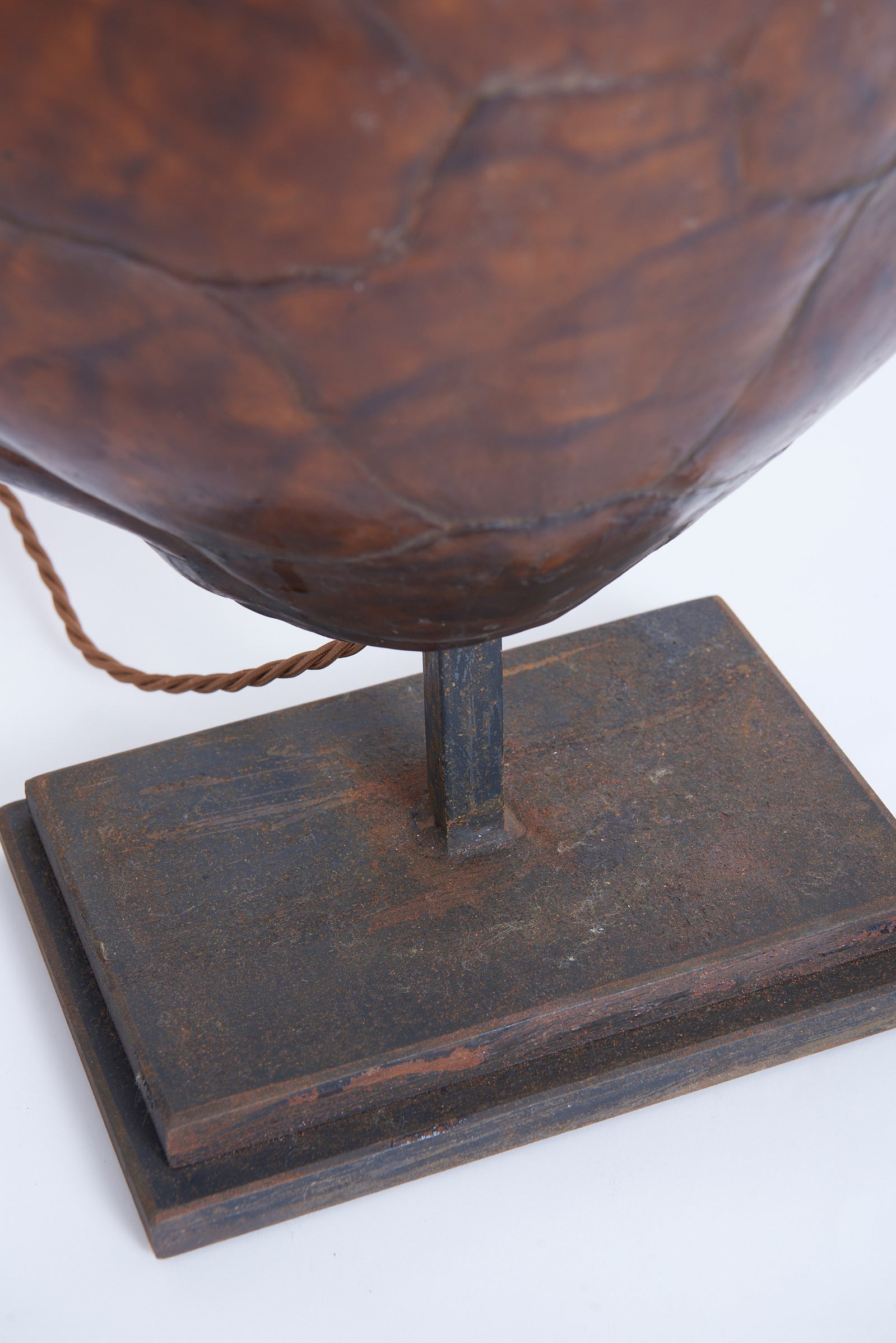 Pair of Tortoiseshell Table Lamps
