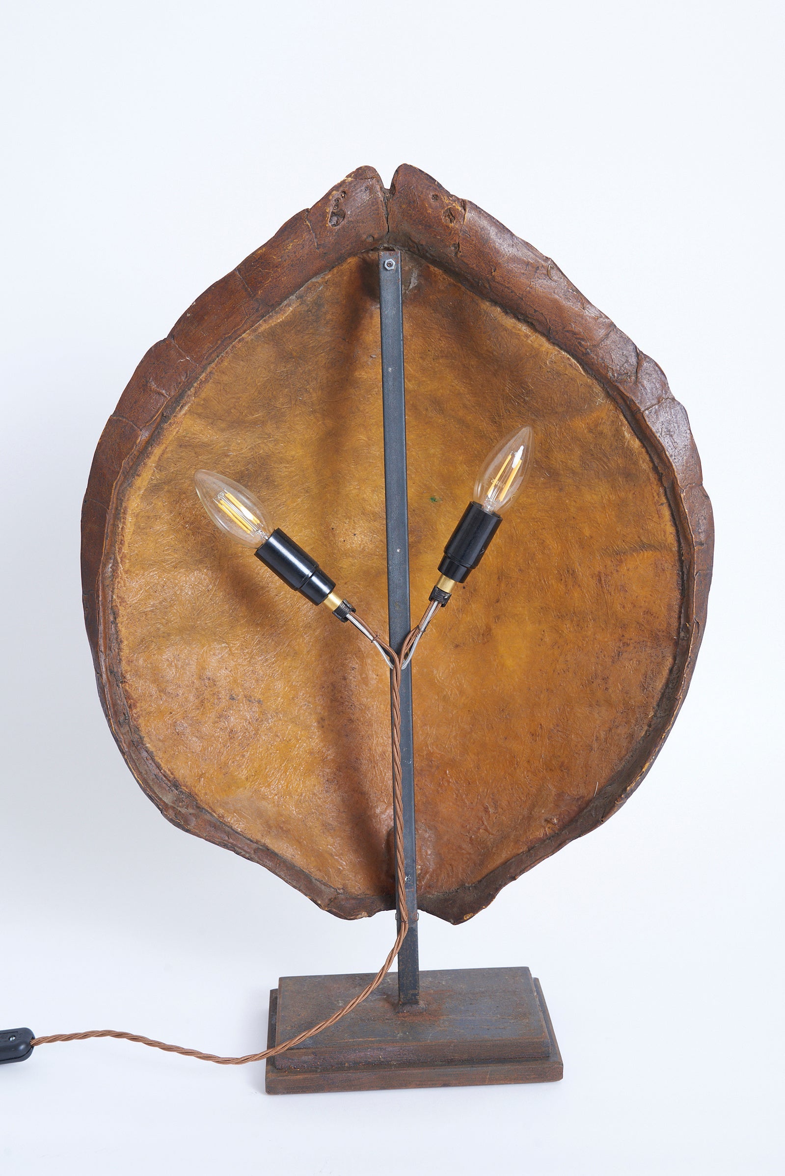 Pair of Tortoiseshell Table Lamps
