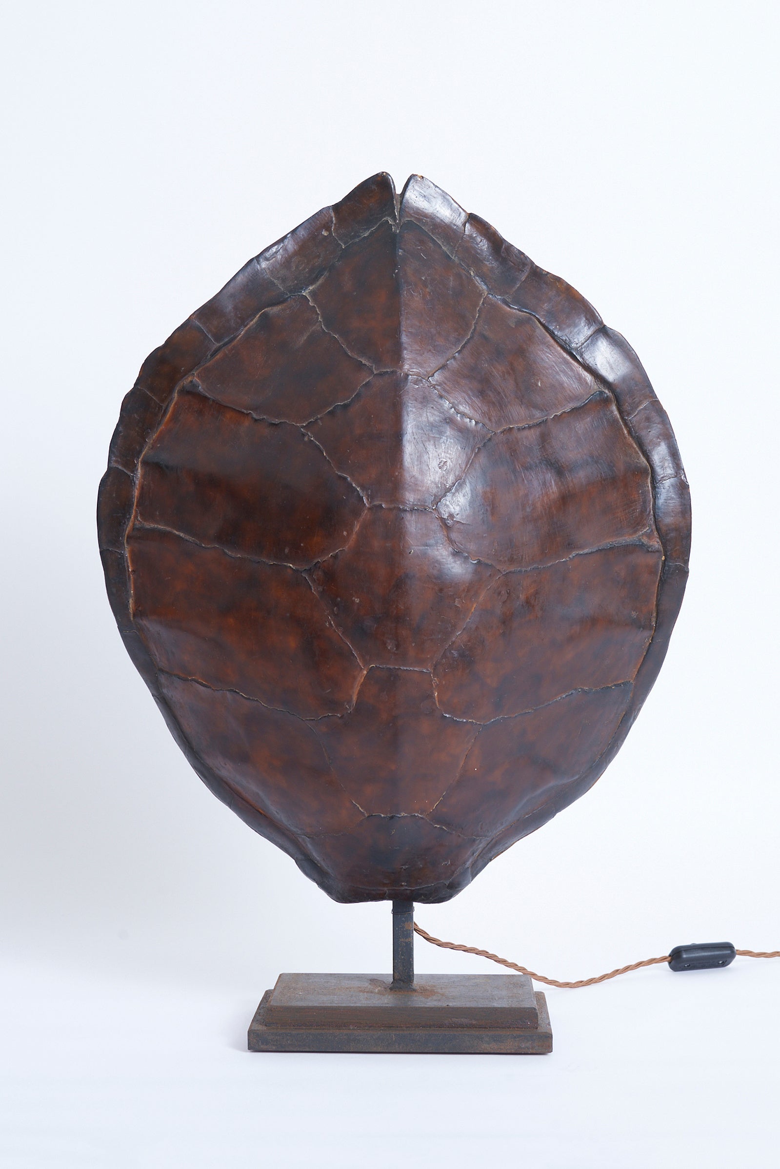 Pair of Tortoiseshell Table Lamps