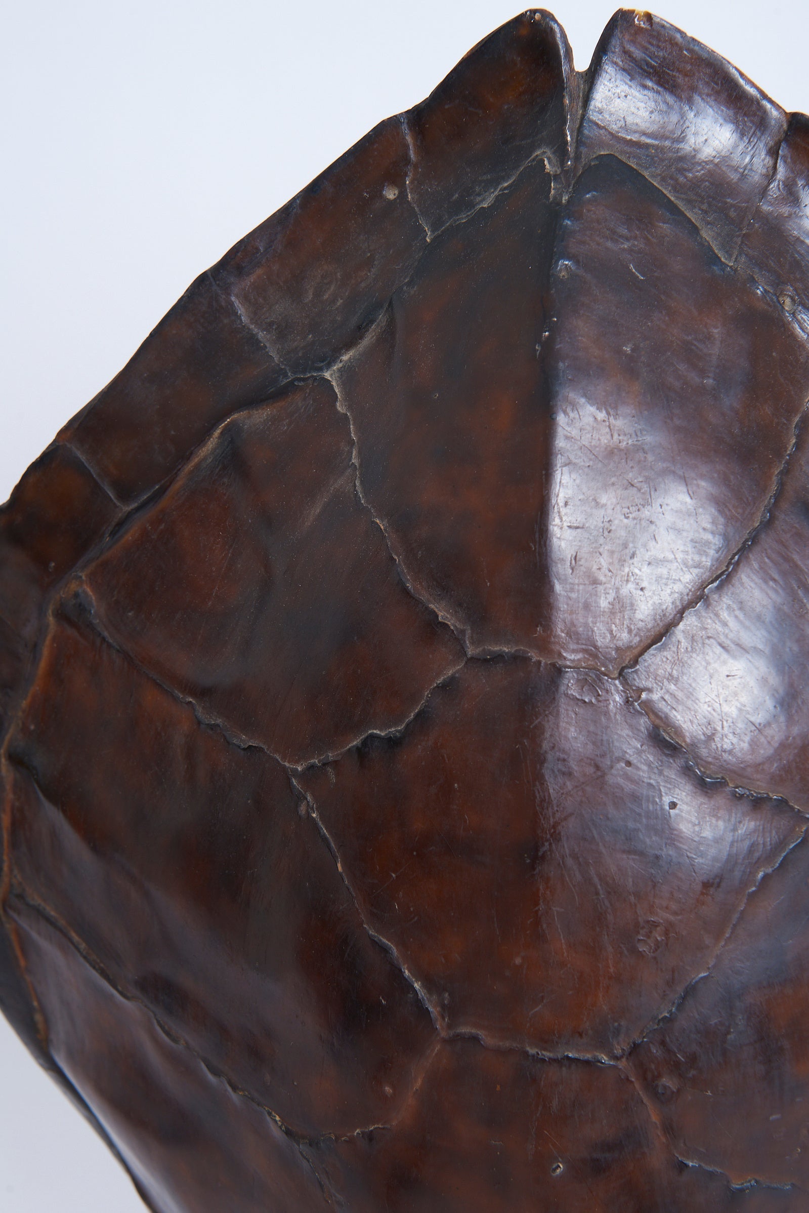 Pair of Tortoiseshell Table Lamps