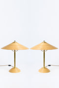 9638- Pair of Brass and Bamboo Table Lamps