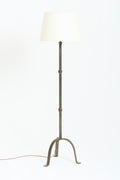 9674- Forged iron Floor Lamp
