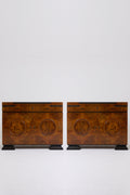 9899- Pair of Art Deco Chests of Drawers
