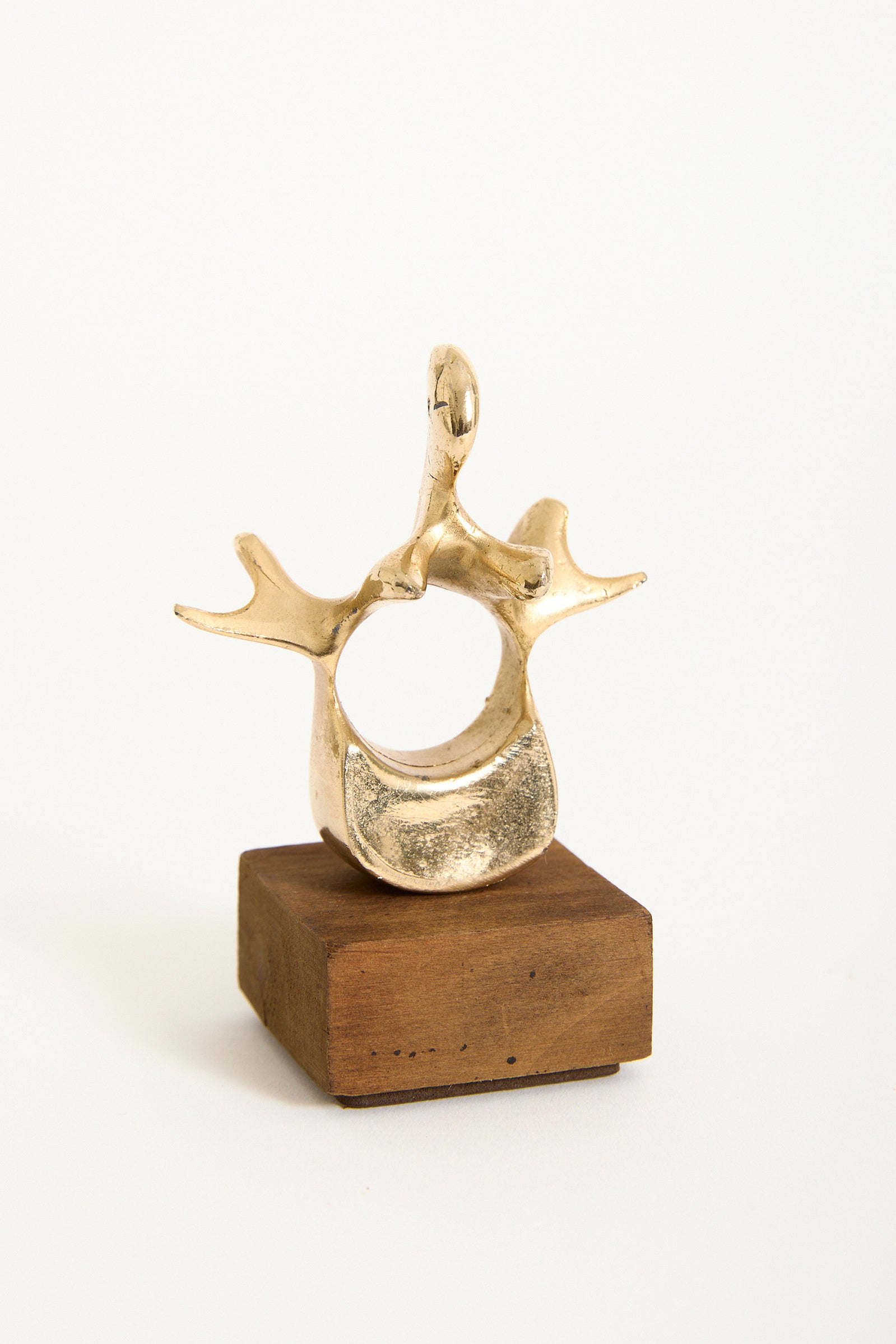 Bronze Vertebra Sculpture