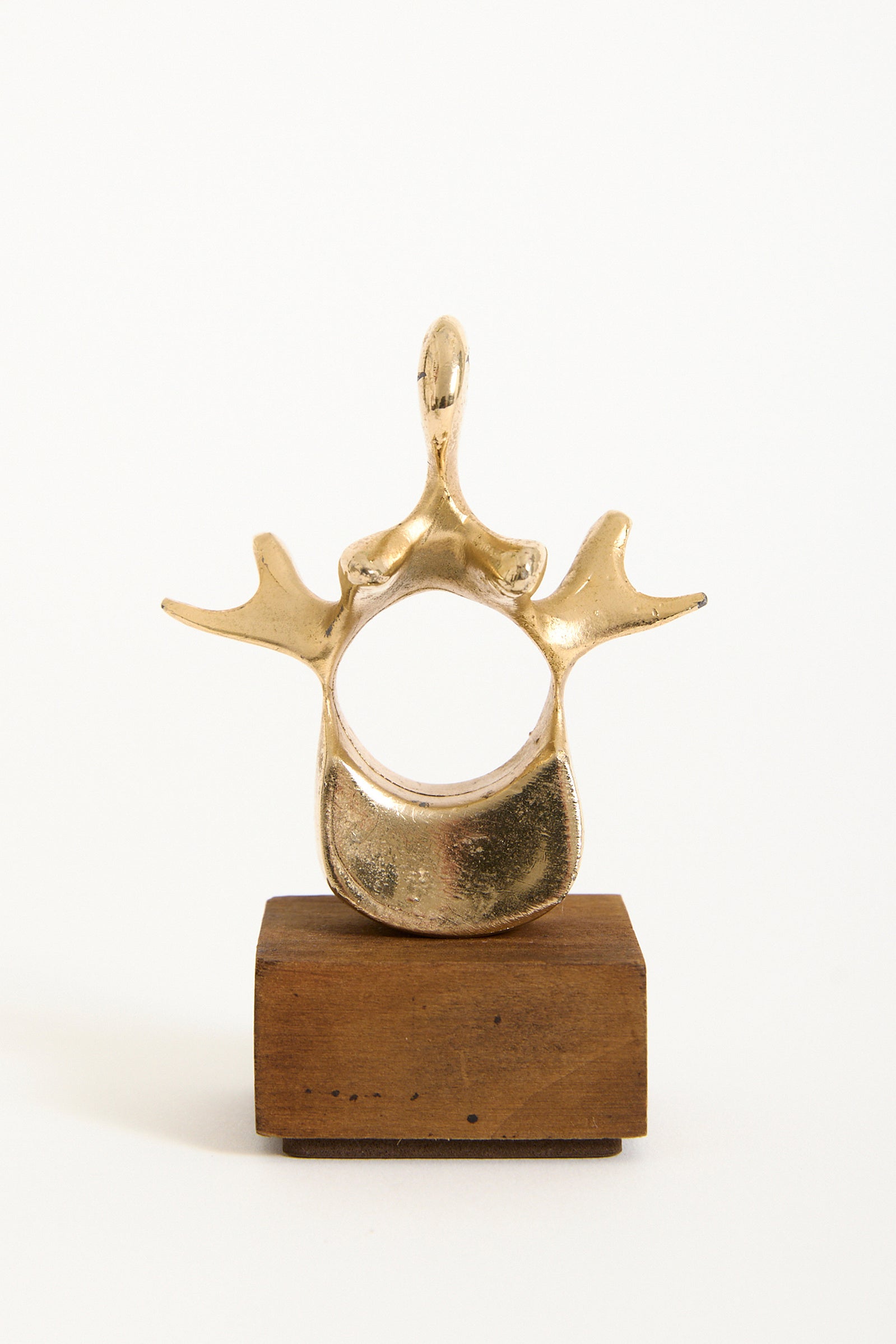 Bronze Vertebra Sculpture